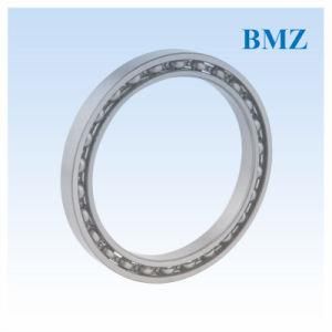 Deep Groove Ball Bearing (69 series)