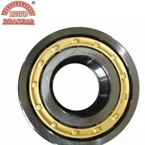 Brass Cage Cylinder Roller Bearing (NJ316EM)