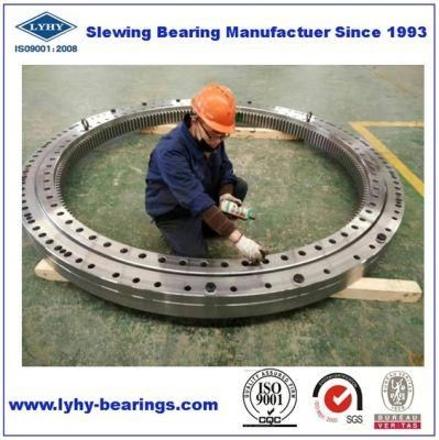 High Quality Slewing Ring Bearing with Internal Gear Zb1.25.1255.200-1stpn