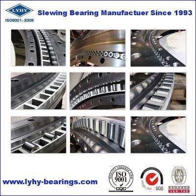 Torriani Gianni (TG) Crossed Roller Slewing Ring Bearing Internal Gear Turntable Bearing (I. 1165.25.12. D. 3-RV)