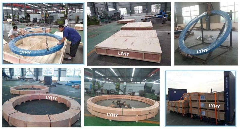 Light Bearing Ball Bearing Slewing Ring Bearing Turntable Bearing Gear Bearing 062.20.0744.500.01.1503