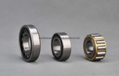 Cylindrical Roller Bearing Nj1022em/Nu1022em/N1022em