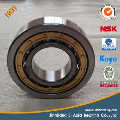 Power Motor Bearing Design Bearing 6204 with Low Noise and High Quality