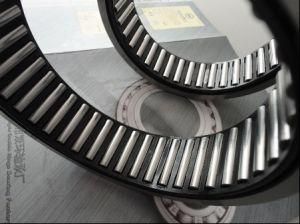 Needle Roller Bearing and Cage (1204)