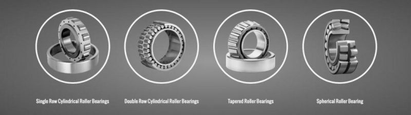 331198 High stiffness Double Row Tapered Roller Bearings for Construction