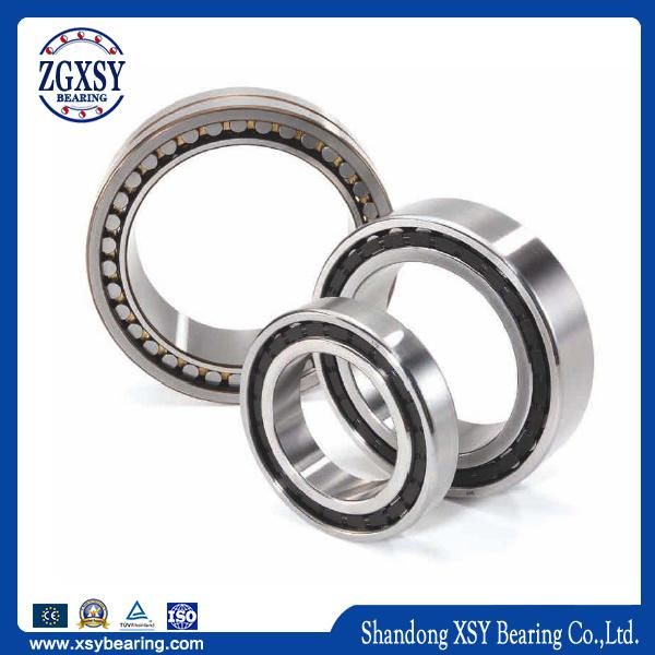 Nu 310 Ecm/C3 Cylindrical Roller Bearing