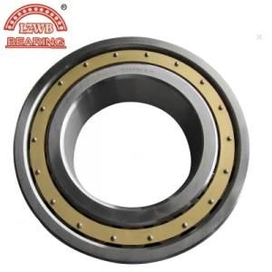 Industrial Equipments Clinderical Roller Bearings (NJ207)