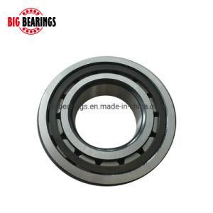 NSK Single Row Cylindrical Roller Bearing Nup307