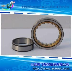 Made in China Large Stock Cylindrical Roller Bearing NU1072M+HJ1072