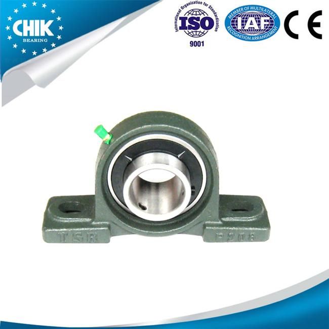 Chik/OEM Cast Iron Screw Lock Pillow Block Bearing UCP210 Bearings