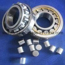 Brass Cage Single Row Eccentric Bearing