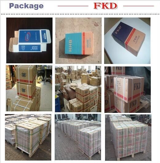 Agricultural Machinery Pillow Block Bearing, Bearing, Fkd Bearing, Deep Groove Ball Bearings, 6000