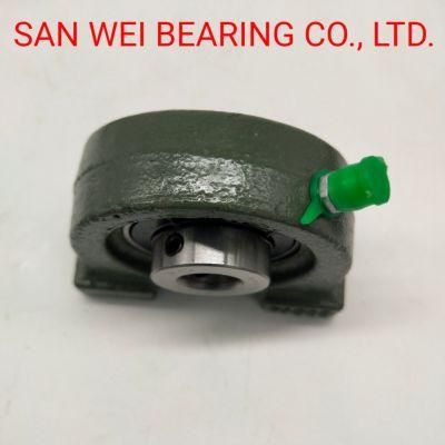 Pillow Blocks UCP205 Bearing with Housing of High Loading High Speed