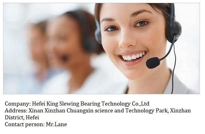 Sk07-1 Excavator Slewing Bearing Slewing Ring Bearing