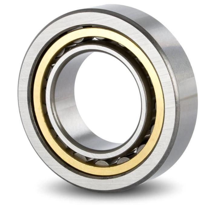 Cylindrical Roller Bearing Nu313etn/32313ea Nu313e/32313e Nj313e/42313e Nj313m/42313h Nj313etn/42313ea Nh313m/62313h Rn313m/502313h N314/2314 N314e/2314e