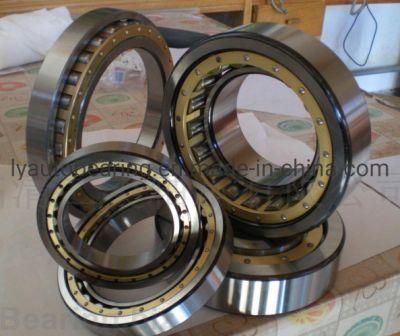 Cylindrical Roller Bearing (92152/NUP1052)