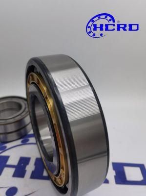 NSK NTN Nu310 Good Price Manufacturer/Double Row Needle Roller Bearing/Cylindrical