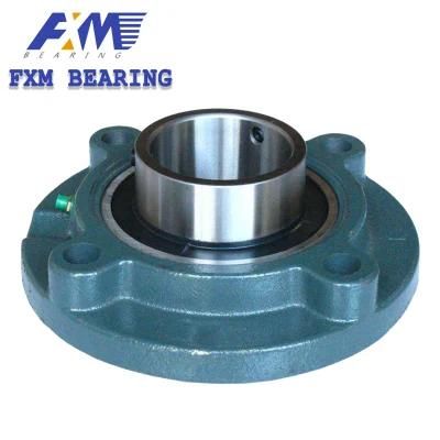 Insert Bearing with Housing Plummer Housed Units Insert Bearing Pillow Block Housing Roller Bearing Ball Bearing Mounted Bearings