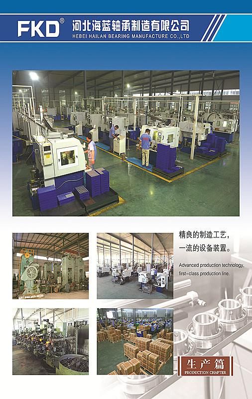 Pillow Block Bearings, Deep Groove Ball Bearings, Auto Bearings, Bearings Units