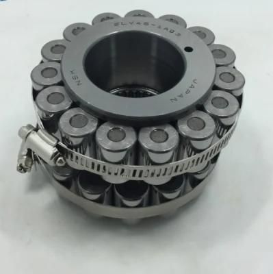 NSK Motorcycle Parts Auto Parts Double Row Eccentric Cylindrical Roller Bearing NSK 2LV45-1AG