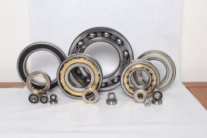 High Precision 6000/6200/6300/6400 Zz 2RS Series Deep Groove/Pillow Block/Insert/Roller/Thrust Ball Bearing Steel Material Bearing