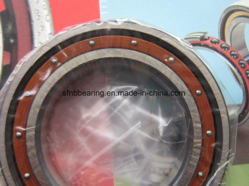 NSK Ball Bearing China Wholesale Price 6309dducm Rolling Bearing