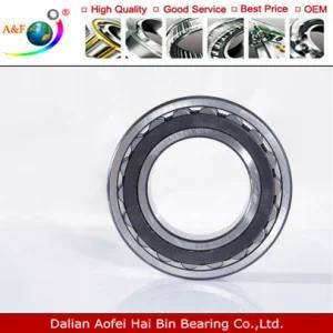 A&F Spherical Roller Bearing (Self-aligning roller bearing) 22205CC/W33