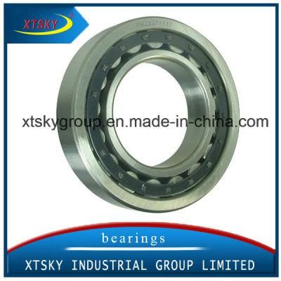 Golden Supplier Heavy Duty Cylindrical Roller Bearing (NJ211E)