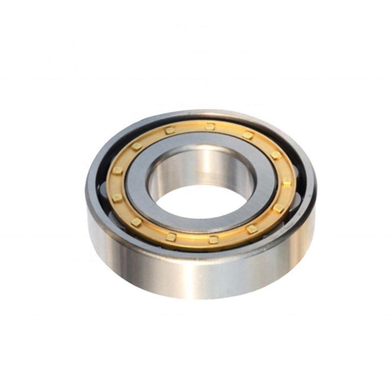 Hot Selling Factory Price 40mm Double Row Cylindrical Roller Bearings