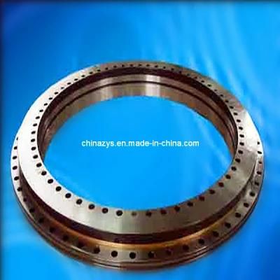 Zys Rotary Table Bearing with High Precision Yrt460/580