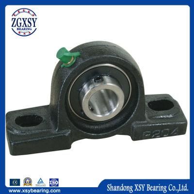 Zgxsy/Xsy/NSK/NTN/Timken Brand Pillow Block Bearing (UC/UCP/UCF/UCFL/UCT/UCPA)