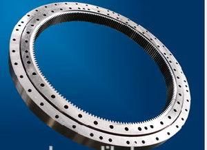 162.16.0630.89121.1503 Food and Beverage Machineries Used Slewing Bearing