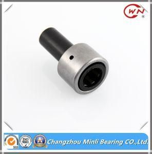 Non-Standard Needle Bearing Special Bearing with Good Quality