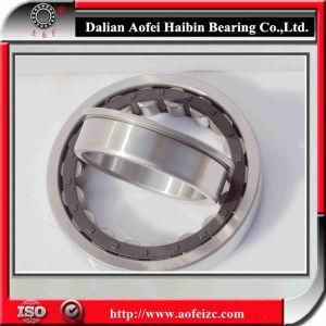 Roller Bearings Cylindrical Roller Bearing (NU/NJ/NUP) NJ226E