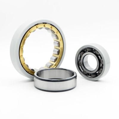 Electrically Insulated Bearings with Long Service Life Auto Parts Nu 1011 Ecp/C3vl0241