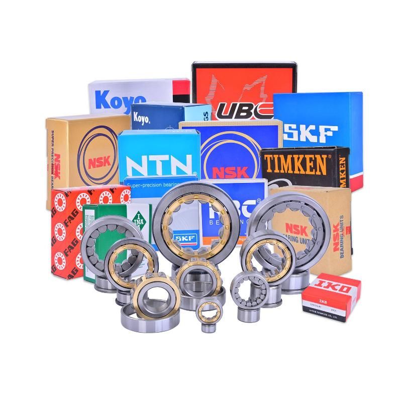 NSK NTN Roller Bearing NF214em NF215em NF216em Cylindrical Roller Bearing