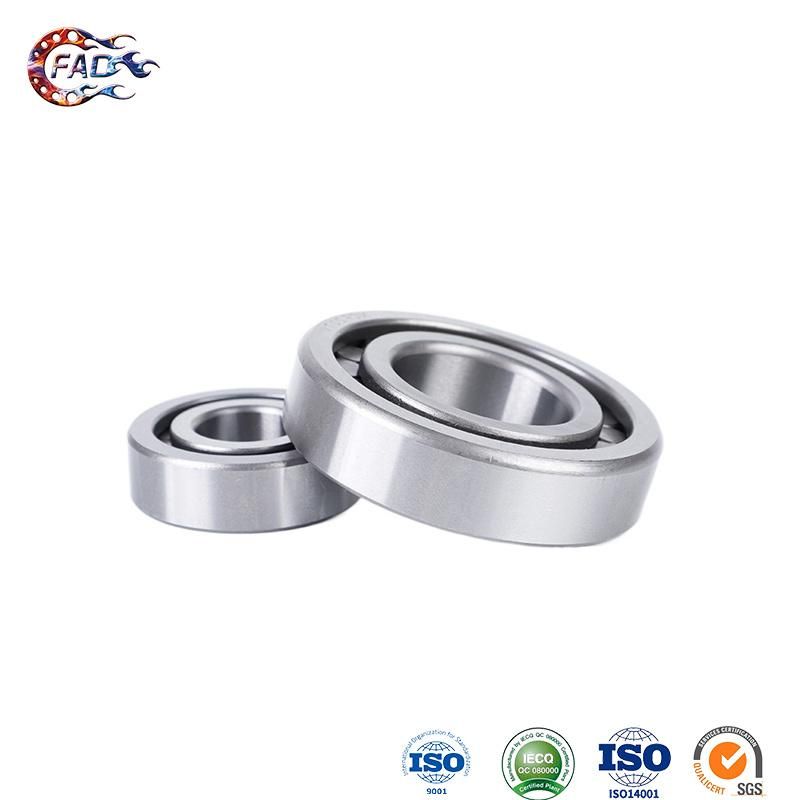 Xinhuo Bearing China Hub Bearing Supply 26mm Od Bearing Nu207 Double Row Cylindrical Roller Bearing