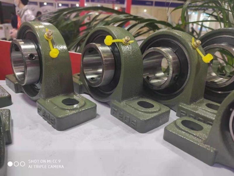 Pillow Block Bearing Manufacture Cylindrical/Taper Roller/Deep Groove Ball/Self-Aligning Ball Bearing Factory