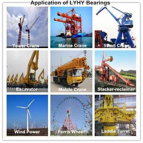 Lyhy Factory Swing Bearing with Internal Gear 1248DBS108y Slewing Ring Ball Bearing