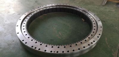 Slewing Ring Bearing Rg238-19110 for Stacker Reclaimer for U15