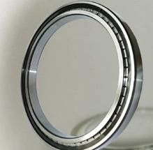 SL18 Series Single-Row Full Complement Cylindrical Roller Bearings