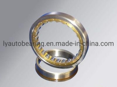 Auto Parts Double Row Cylindrical Roller Bearing (3182192K/ NN3092K/W33) Ball Bearing