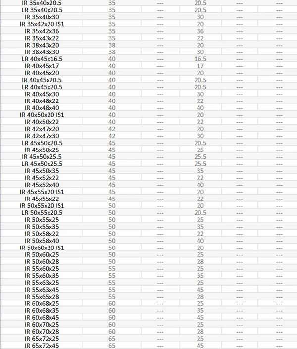 20mm IR20X24X16/IR20X24X20/IR20X25X16 Is1/IR20X25X17 Combined Needle Roller Bearings