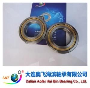 A&F Bearing/ Cylindrical Roller Bearing NJ244M
