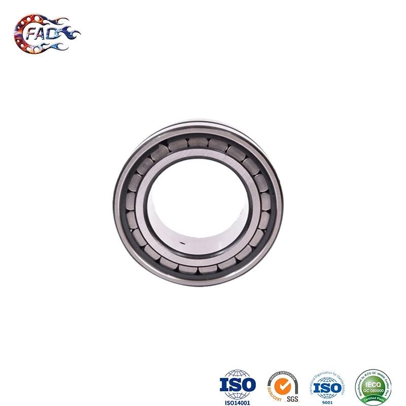 Xinhuo Bearing China Auto Bearing Factory Bearing 6206 RS Double Row Cylindrical Roller Bearing