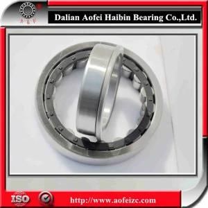 Nu220em Cylindrical Roller Bearings E, Em, Ecm, Ecj, Ecp, Ecml (Nu216, Nu218, Nu220, Nu222, NU205, Nu230, NU232) NJ234E