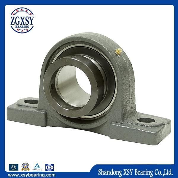 Miniature Transportation Machinery Pillow Block Bearing UC200 Series