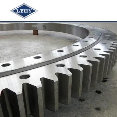 Slewing Ring Bearing with Outer Gears (RKS. 161.16.1754)