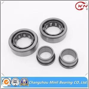 Cylindrical Roller Bearing with High Quality Nj202e
