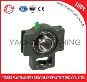 High Quality Good Price Pillow Block Bearing (Uct206 Ucp206 Ucf206 Ucfl206 Uc206)